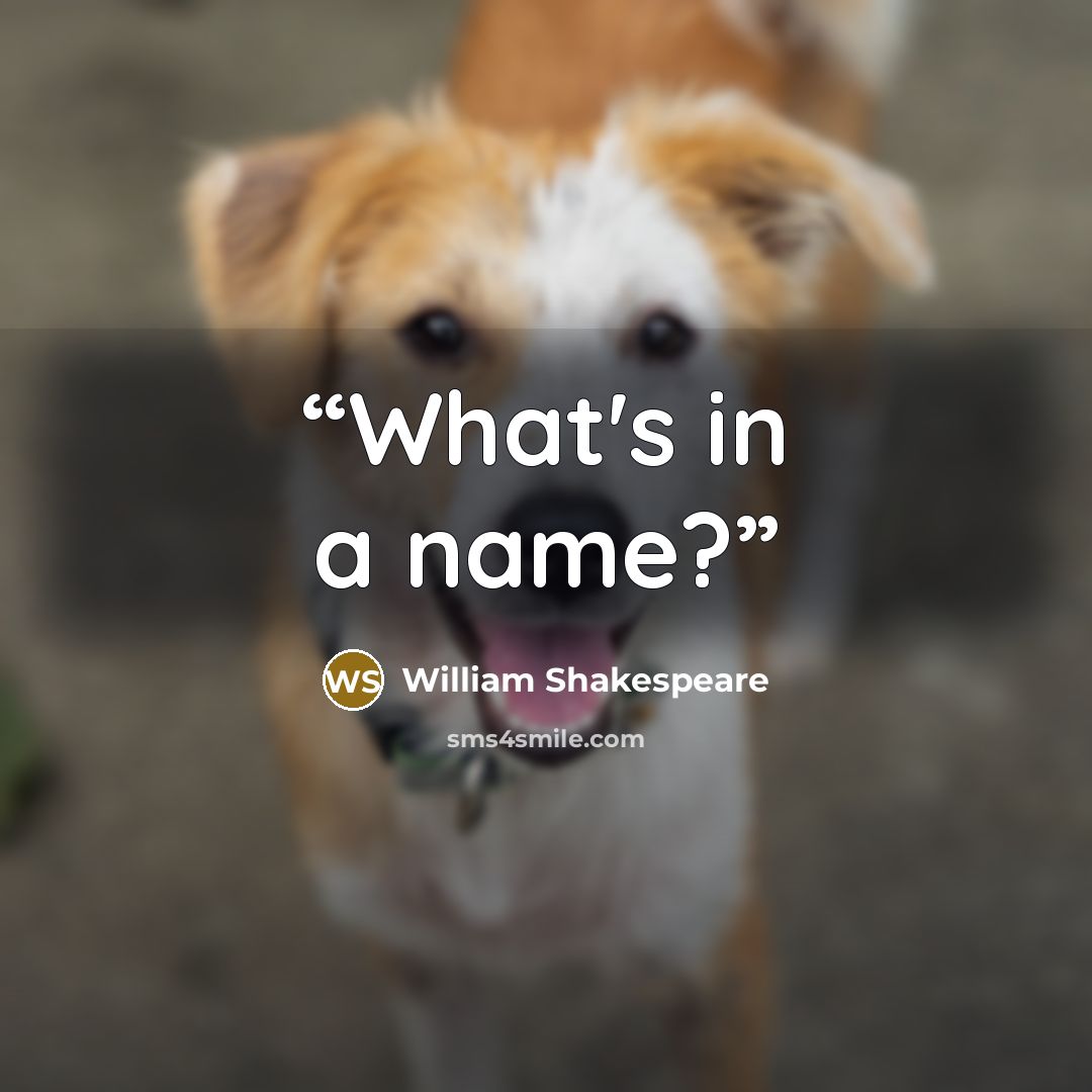 “What's in a name?” quote by William Shakespeare