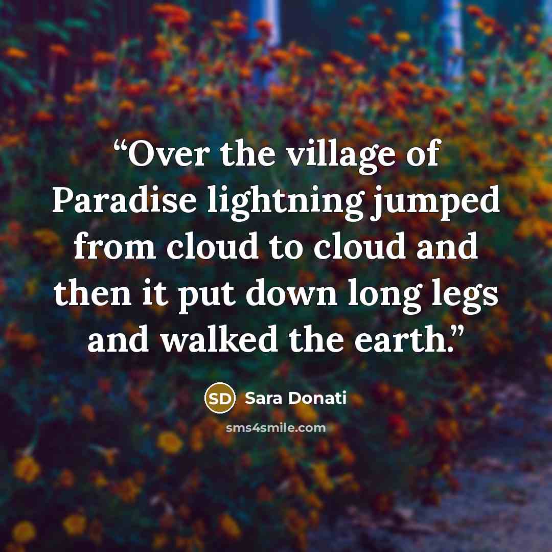 “Over the village of Paradise lightning jumped from cloud to cloud and then it put down long legs and walked the earth.” quote by Sara Donati
