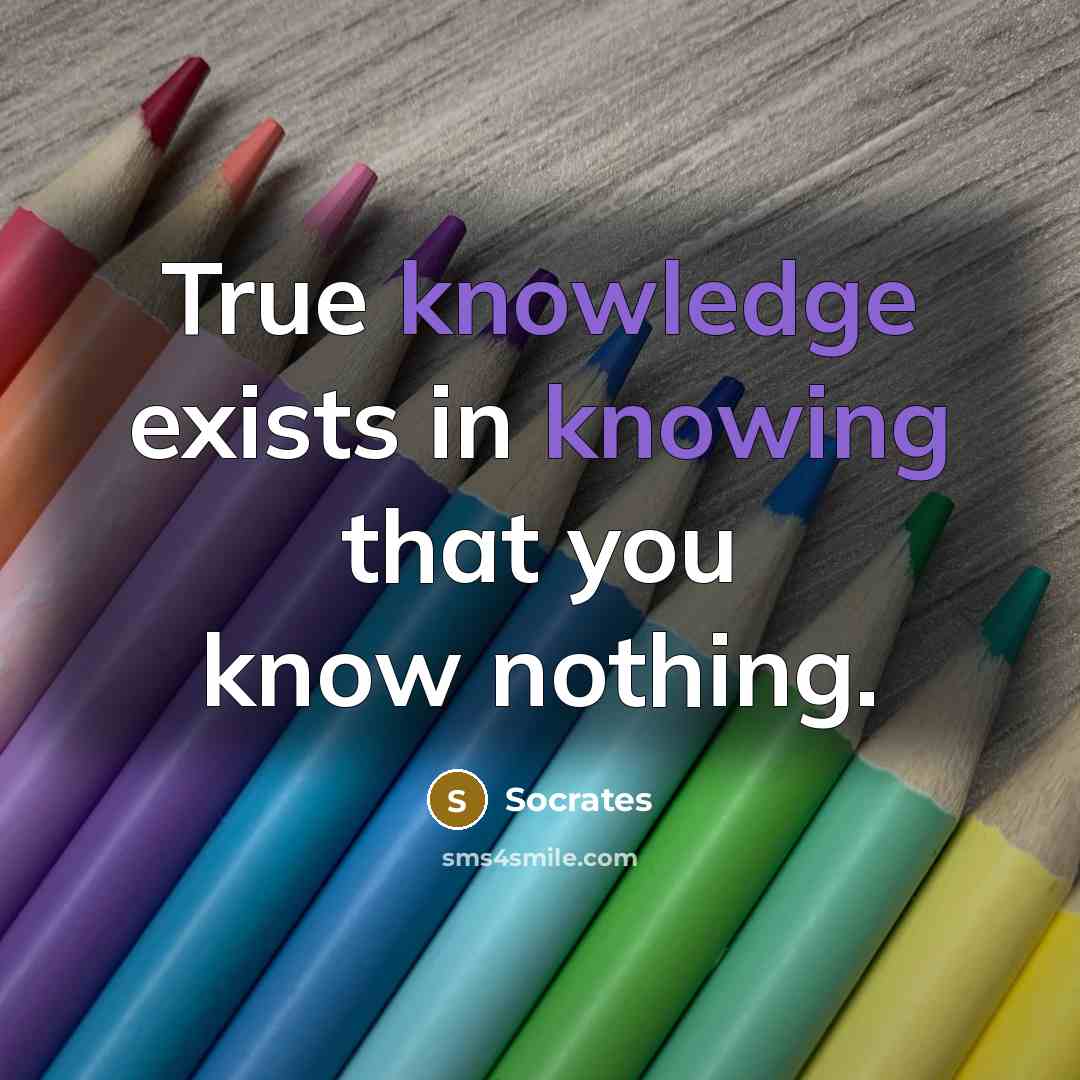 “True knowledge exists in knowing that you know nothing.” quote by Socrates