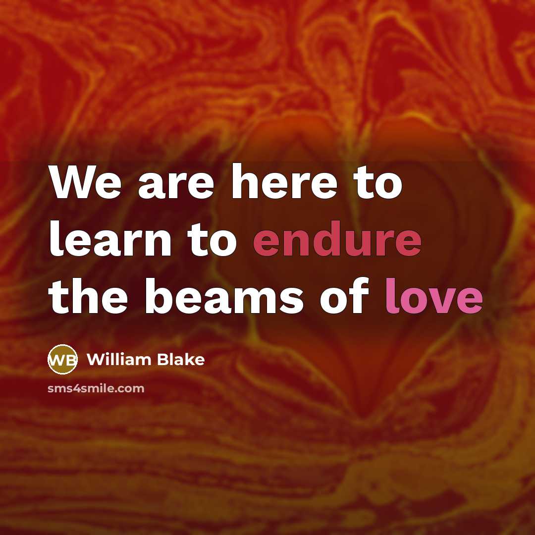 “We are here to learn to endure the beams of love” quote by William Blake