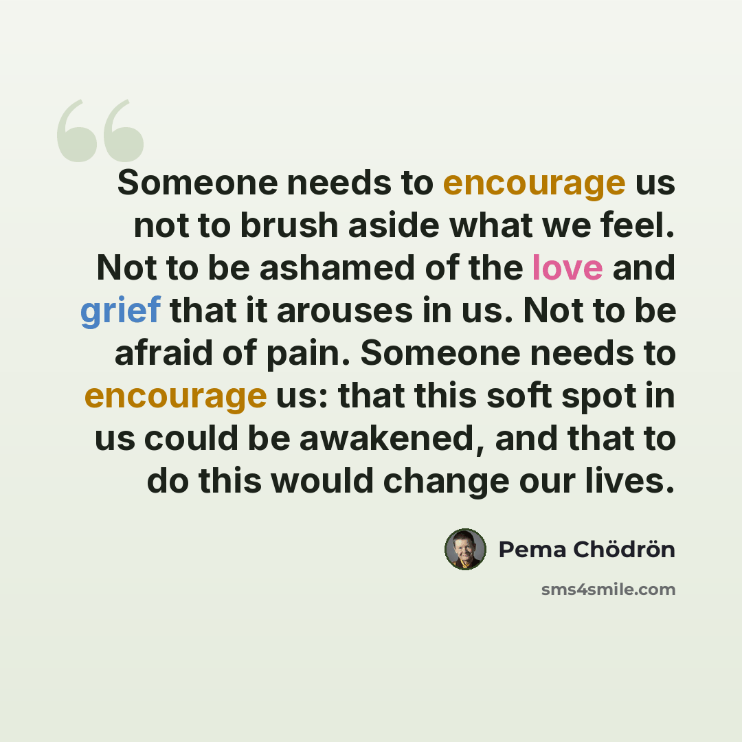 “Someone needs to encourage us not to brush aside what we feel. Not to be ashamed of the love and grief that it arouses in us. Not to be afraid of pain. Someone needs to encourage us: that this soft spot in us could be awakened, and that to do this would change our lives.” quote by Pema Chodron