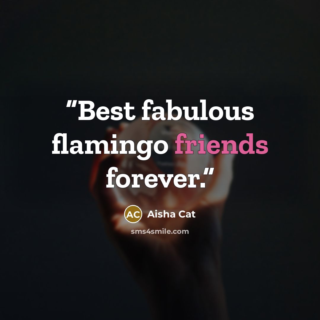 “Best fabulous flamingo friends forever.” quote by Aisha Cat