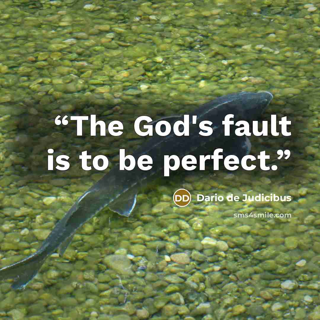 “The God's fault is to be perfect.” quote by Dario de Judicibus