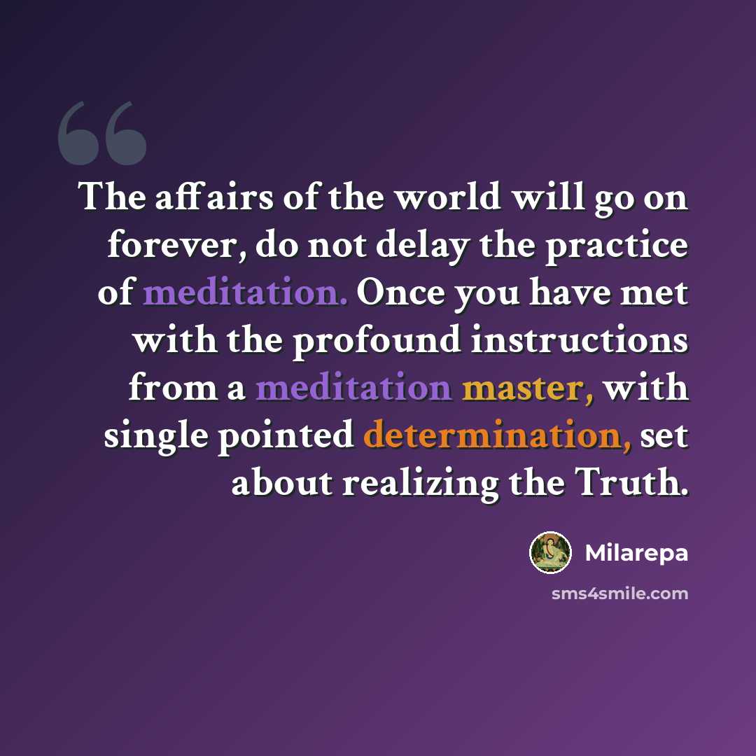 “The affairs of the world will go on forever, do not delay the practice of meditation. Once you have met with the profound instructions from a meditation master, with single pointed determination, set about realizing the Truth.” quote by Milarepa