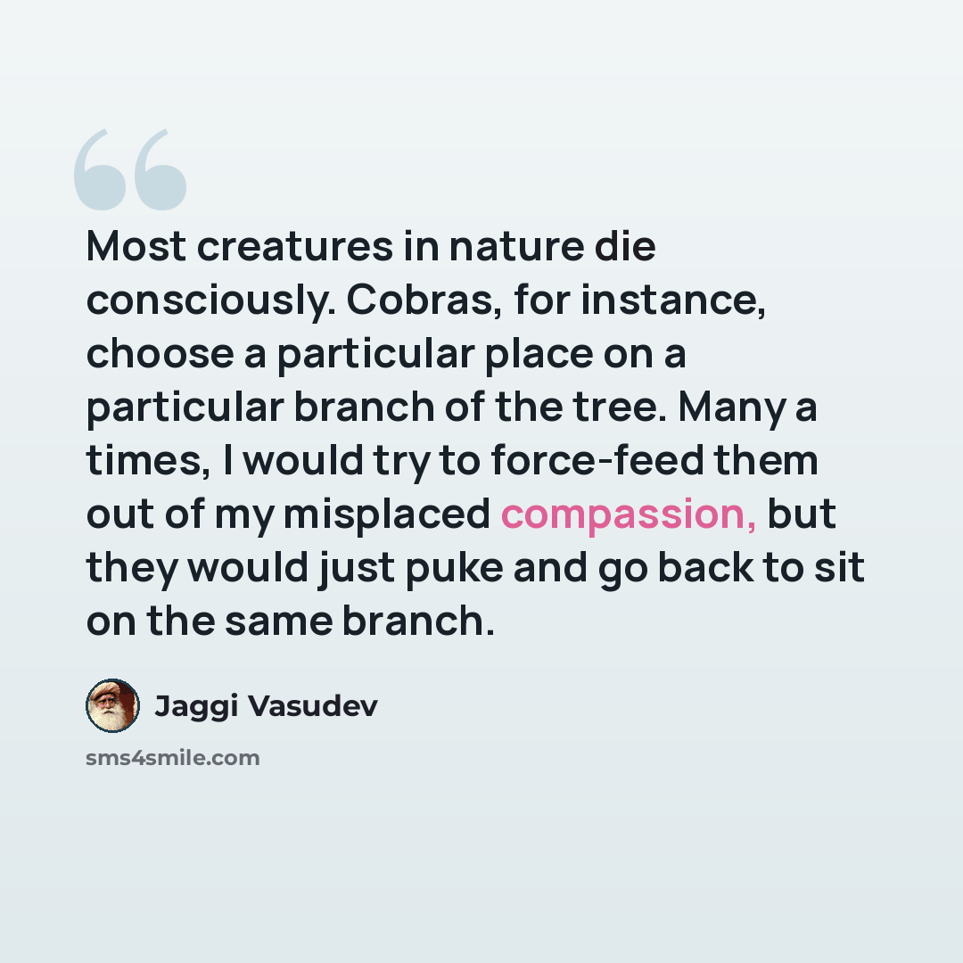 “Most creatures in nature die consciously. Cobras, for instance, choose a particular place on a particular branch of the tree. Many a times, I would try to force-feed them out of my misplaced compassion, but they would just puke and go back to sit on the same branch.” quote by Jaggi Vasudev