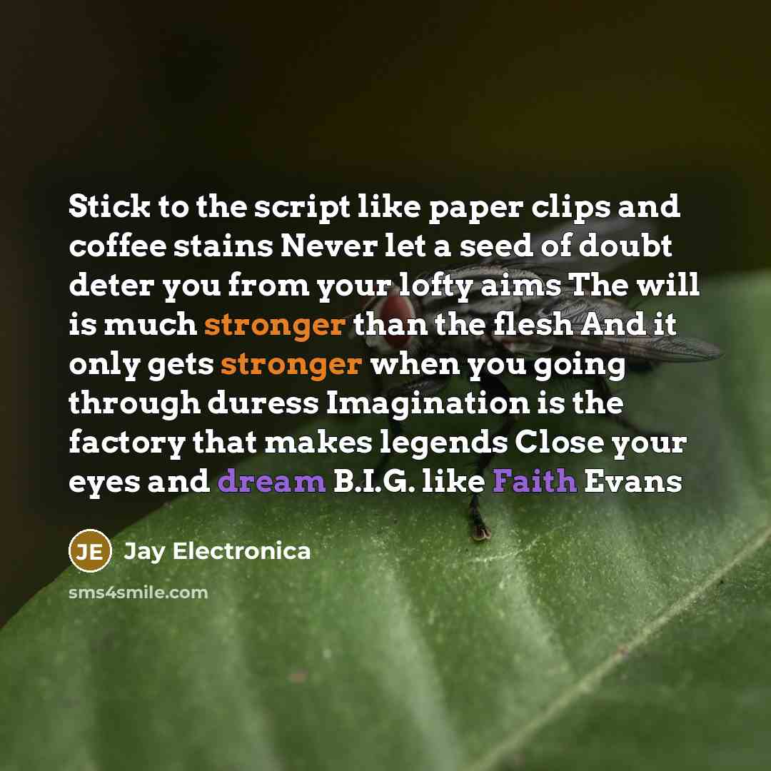“Stick to the script like paper clips and coffee stains Never let a seed of doubt deter you from your lofty aims The will is much stronger than the flesh And it only gets stronger when you going through duress Imagination is the factory that makes legends Close your eyes and dream B.I.G. like Faith…” quote by Jay Electronica