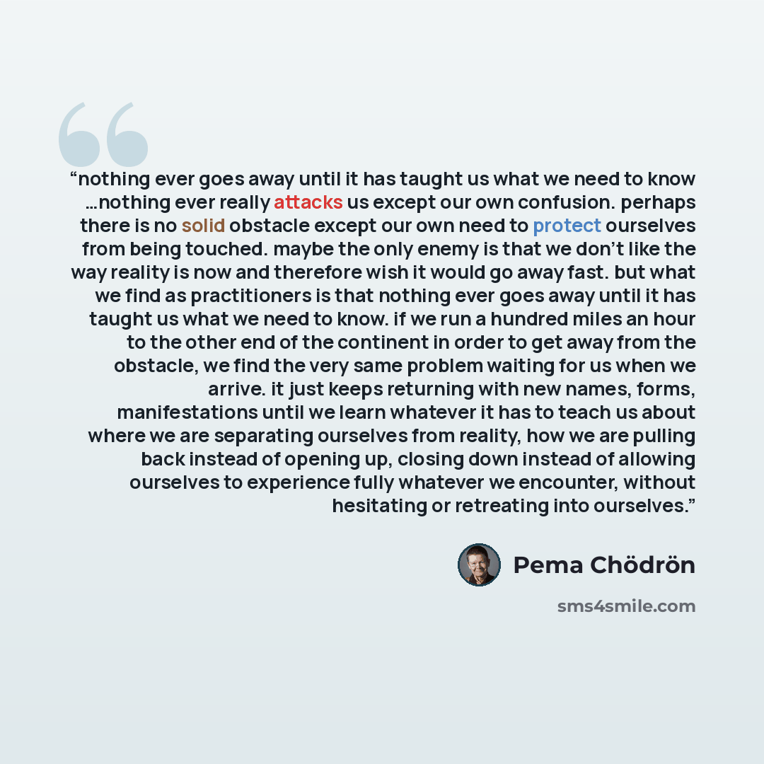 “nothing ever goes away until it has taught us what we need to know …nothing ever really attacks us except our own confusion. perhaps there is no solid obstacle except our own need to protect ourselves from being touched. maybe the only enemy is that we don’t like the way reality is now and…” quote by Pema Chödrön