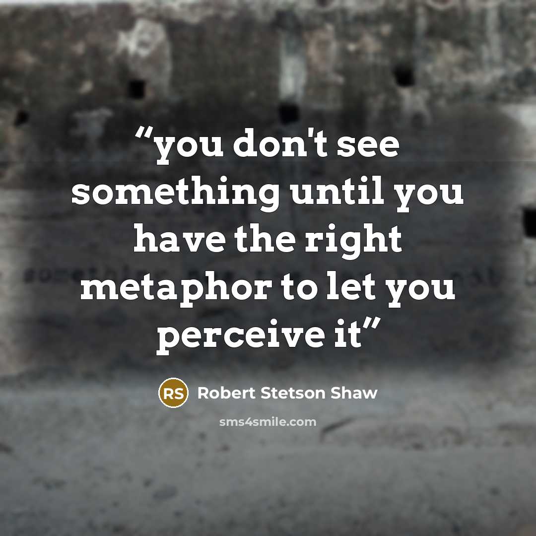 “you don't see something until you have the right metaphor to let you perceive it” quote by Robert Stetson Shaw
