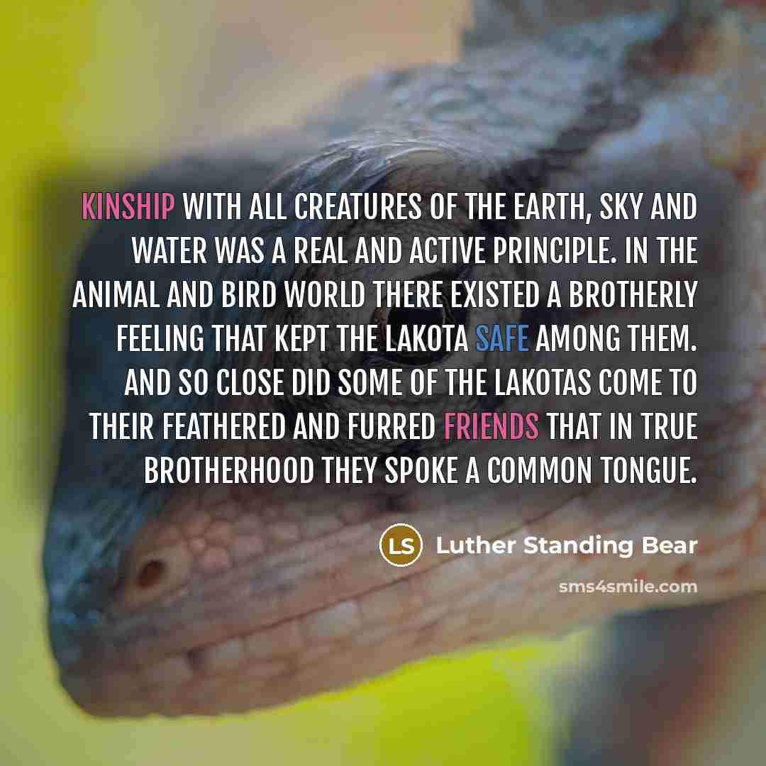 “Kinship with all creatures of the earth, sky and water was a real and active principle. In the animal and bird world there existed a brotherly feeling that kept the Lakota safe among them. And so close did some of the Lakotas come to their feathered and furred friends that in true brotherhood they…” quote by Luther Standing Bear