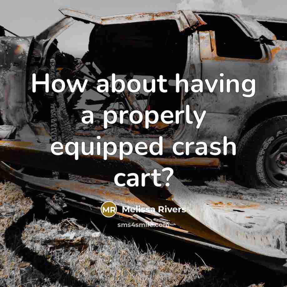 “How about having a properly equipped crash cart?” quote by Melissa Rivers