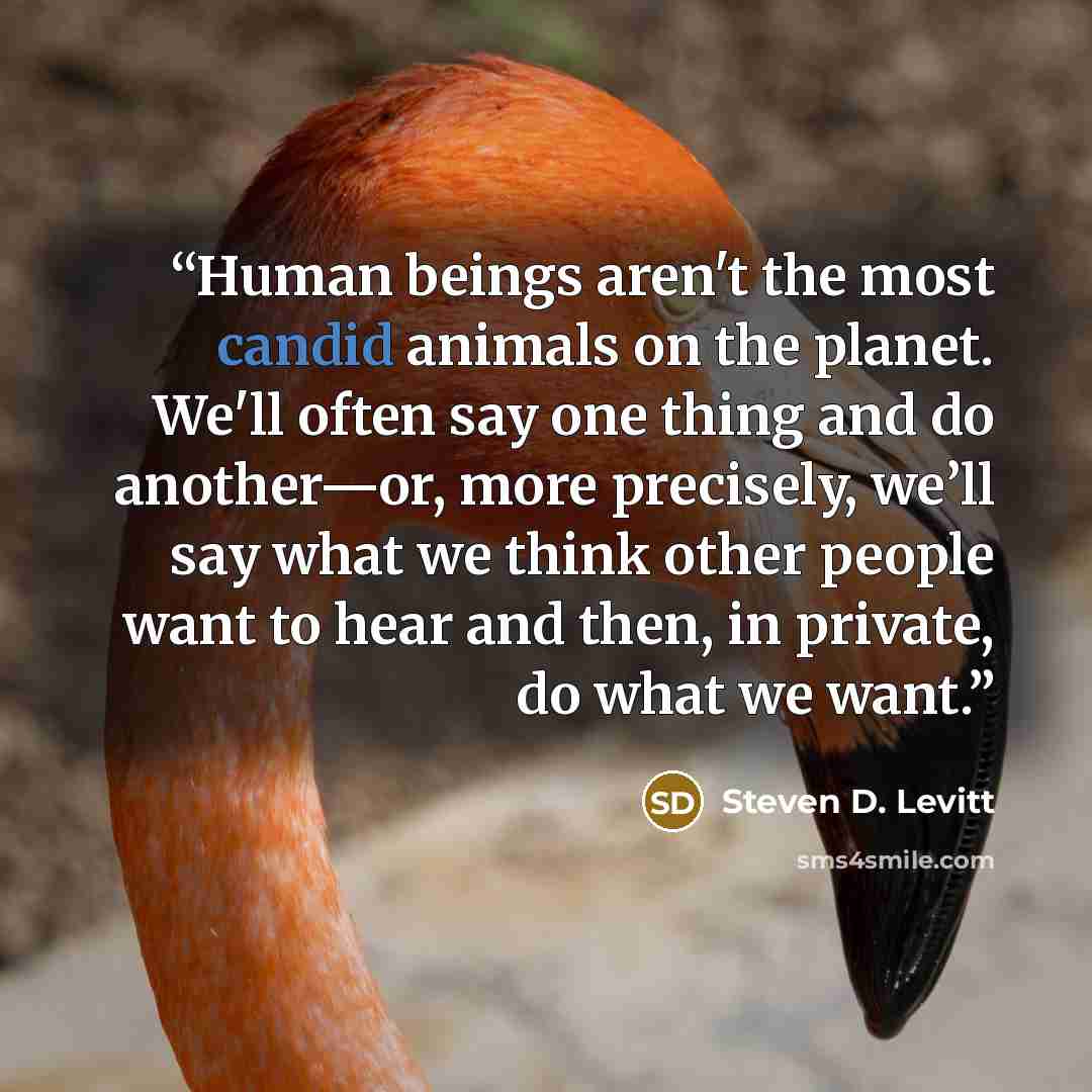 “Human beings aren't the most candid animals on the planet. We'll often say one thing and do another—or, more precisely, we’ll say what we think other people want to hear and then, in private, do what we want.” quote by Steven D. Levitt