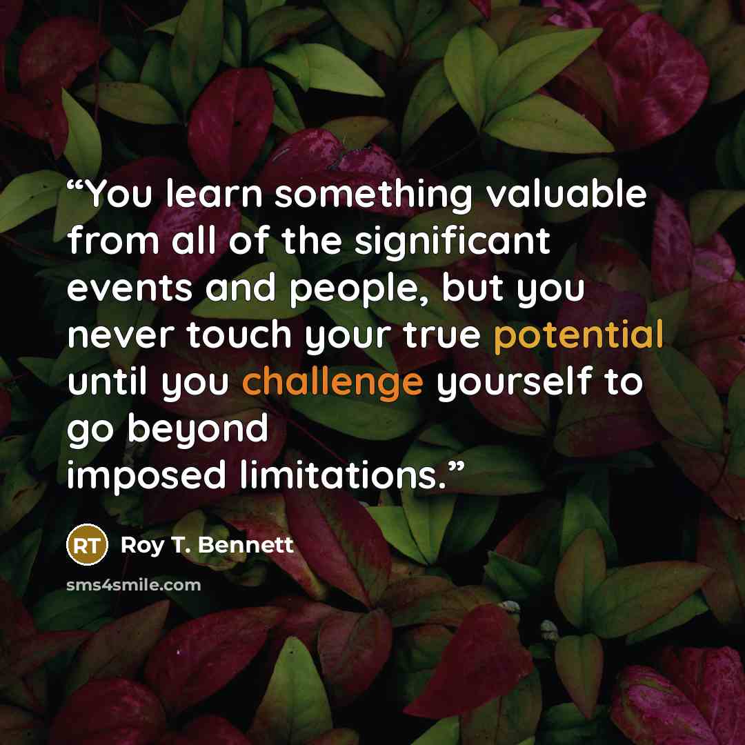 “You learn something valuable from all of the significant events and people, but you never touch your true potential until you challenge yourself to go beyond imposed limitations.” quote by Roy T. Bennett