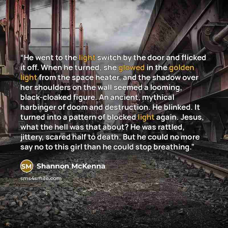 “He went to the light switch by the door and flicked it off. When he turned, she glowed in the golden light from the space heater, and the shadow over her shoulders on the wall seemed a looming, black-cloaked figure. An ancient, mythical harbinger of doom and destruction. He blinked. It turned into…” quote by Shannon McKenna