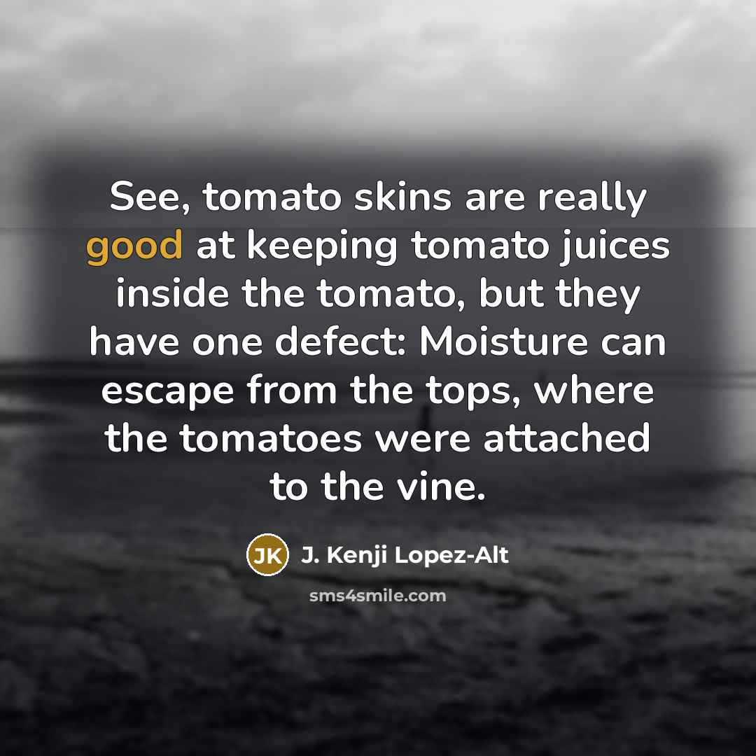 “See, tomato skins are really good at keeping tomato juices inside the tomato, but they have one defect: Moisture can escape from the tops, where the tomatoes were attached to the vine.” quote by J. Kenji Lopez-Alt