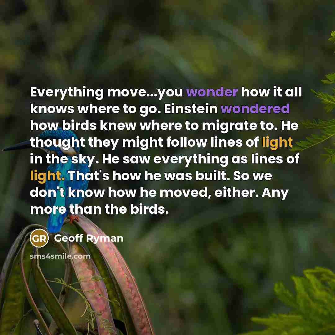 “Everything move...you wonder how it all knows where to go. Einstein wondered how birds knew where to migrate to. He thought they might follow lines of light in the sky. He saw everything as lines of light. That's how he was built. So we don't know how he moved, either. Any more than the birds.” quote by Geoff Ryman