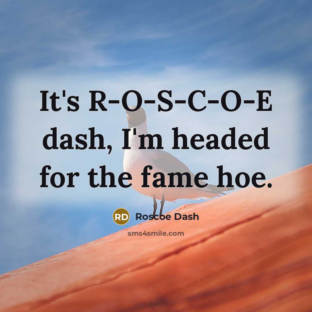“It's R-O-S-C-O-E dash, I'm headed for the fame hoe.” quote by Roscoe Dash