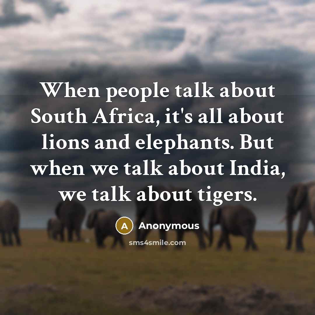 “When people talk about South Africa, it's all about lions and elephants. But when we talk about India, we talk about tigers.” quote by Anonymous