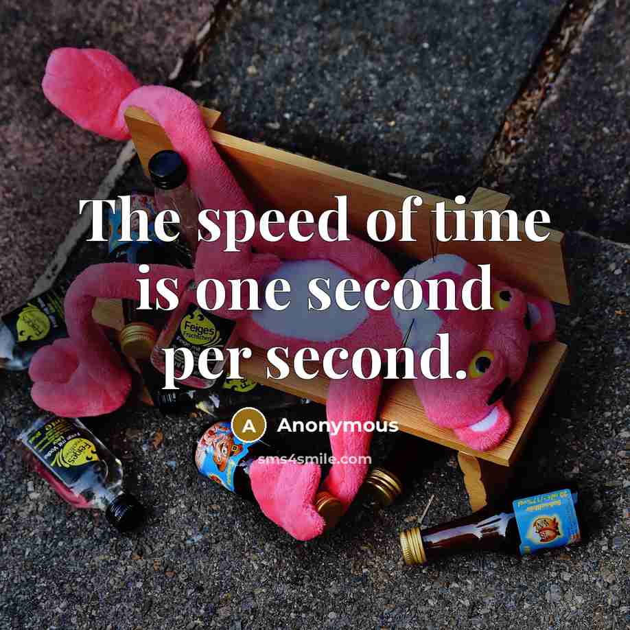 “The speed of time is one second per second.” quote by Anonymous