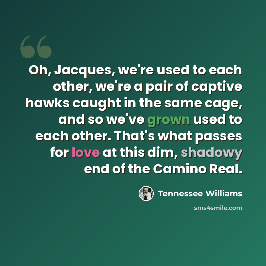 “Oh, Jacques, we're used to each other, we're a pair of captive hawks caught in the same cage, and so we've grown used to each other. That's what passes for love at this dim, shadowy end of the Camino Real.” quote by Tennessee Williams