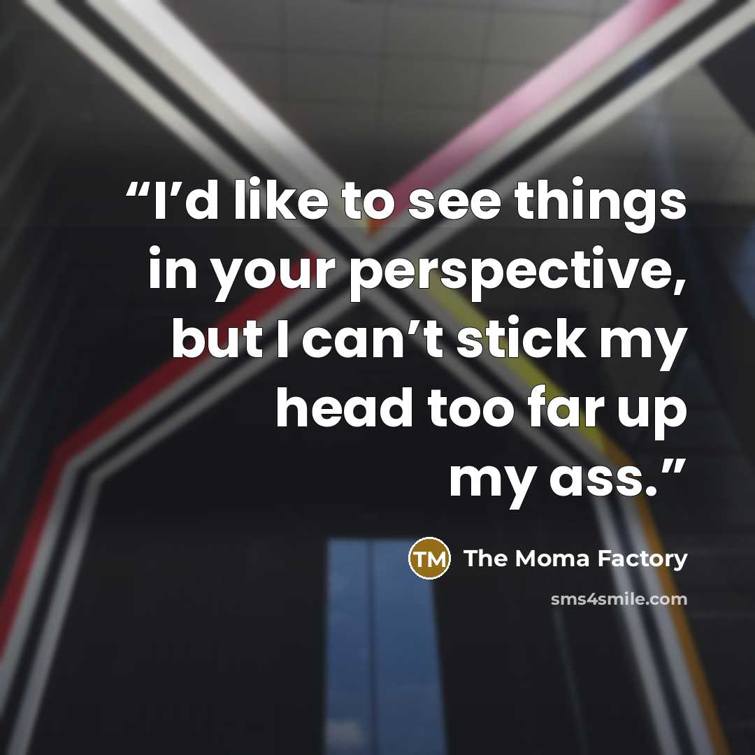 “I’d like to see things in your perspective, but I can’t stick my head too far up my ass.” quote by The Moma Factory