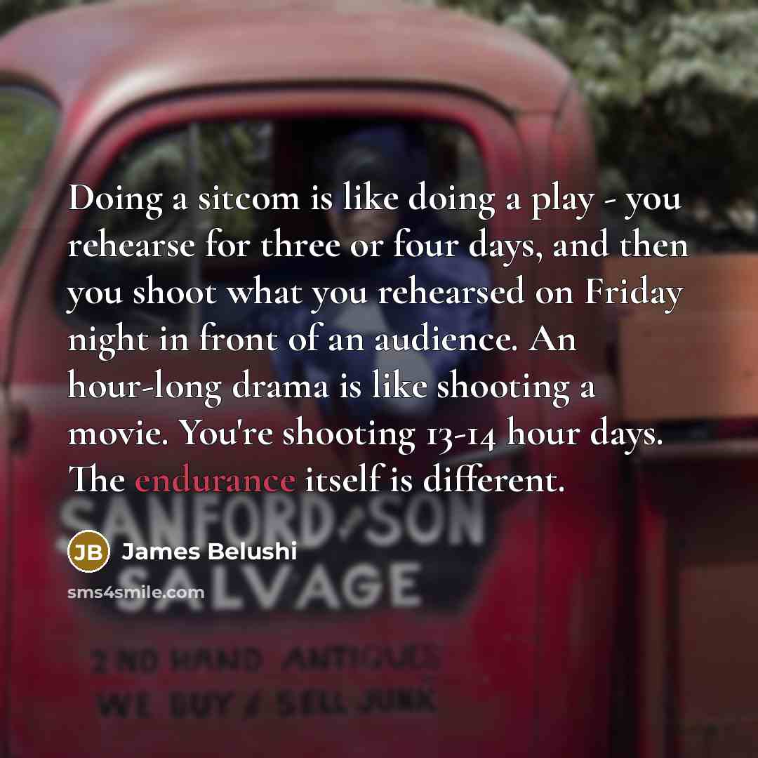 “Doing a sitcom is like doing a play - you rehearse for three or four days, and then you shoot what you rehearsed on Friday night in front of an audience. An hour-long drama is like shooting a movie. You're shooting 13-14 hour days. The endurance itself is different.” quote by James Belushi