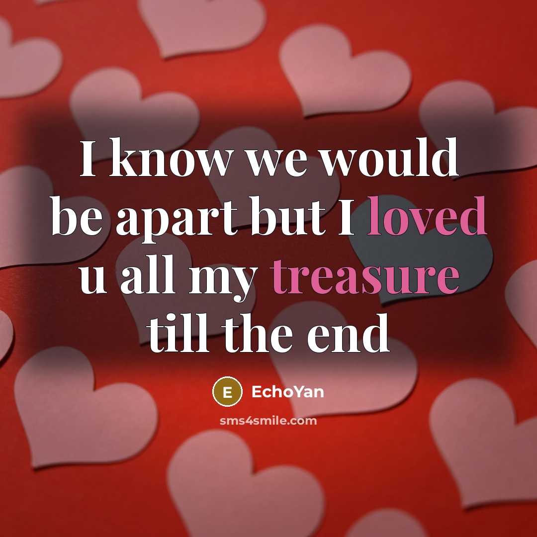 “I know we would be apart but I loved u all my treasure till the end” quote by EchoYan
