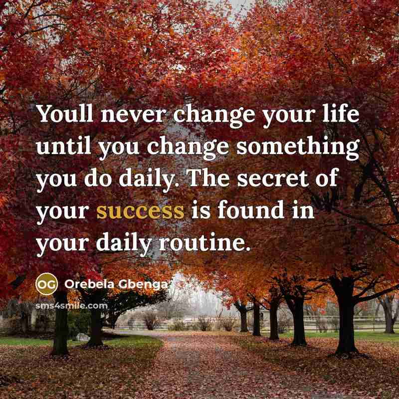 “Youll never change your life until you change something you do daily. The secret of your success is found in your daily routine.” quote by Orebela Gbenga