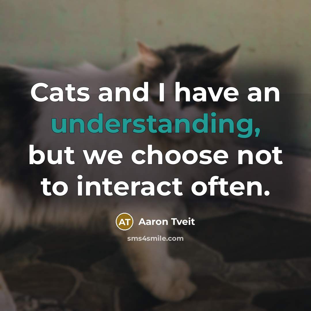 “Cats and I have an understanding, but we choose not to interact often.” quote by Aaron Tveit