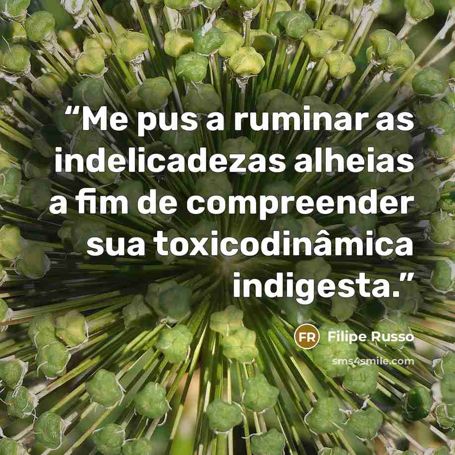 “Me pus a ruminar as indelicadezas alheias a fim de compreender sua toxicodinâmica indigesta.” quote by Filipe Russo