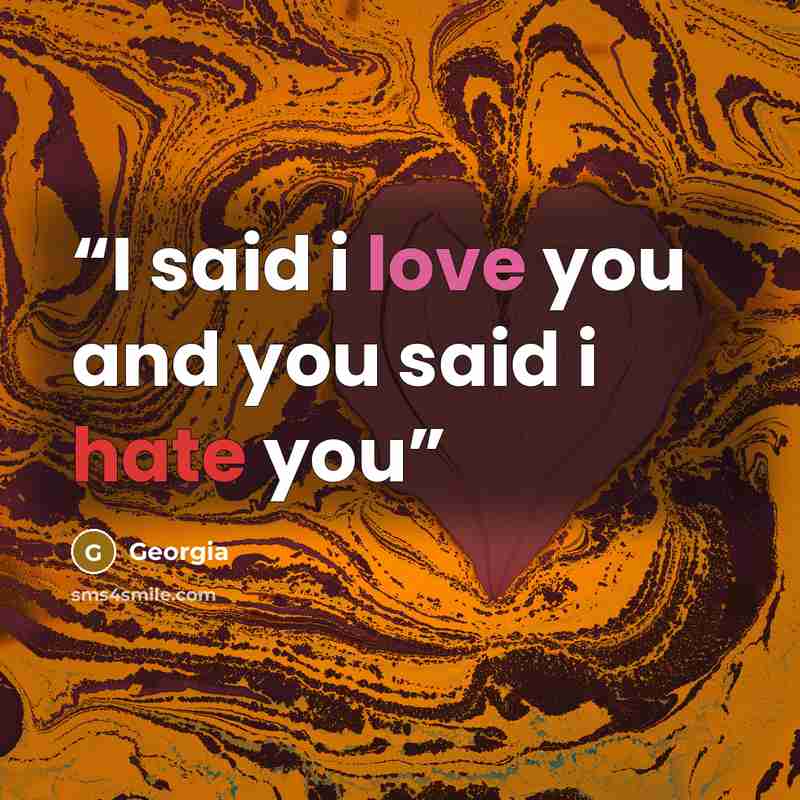 “I said i love you and you said i hate you” quote by georgia