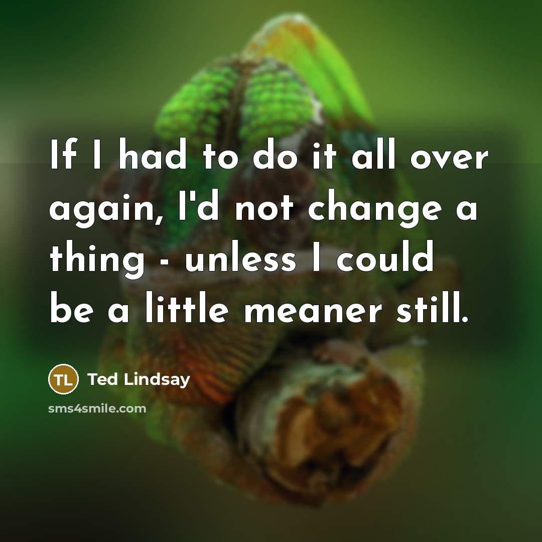 “If I had to do it all over again, I'd not change a thing - unless I could be a little meaner still.” quote by Ted Lindsay