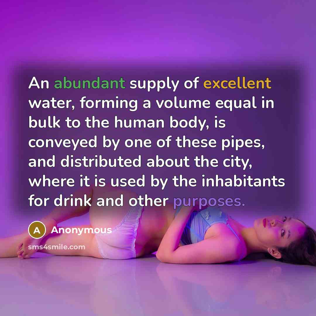 “An abundant supply of excellent water, forming a volume equal in bulk to the human body, is conveyed by one of these pipes, and distributed about the city, where it is used by the inhabitants for drink and other purposes.” quote by Anonymous