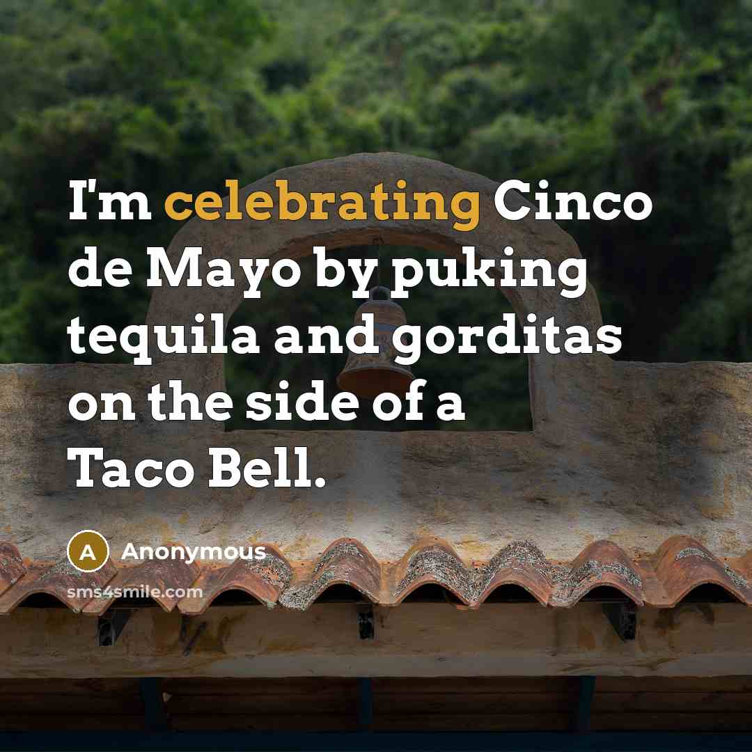 “I'm celebrating Cinco de Mayo by puking tequila and gorditas on the side of a Taco Bell.” quote by Anonymous