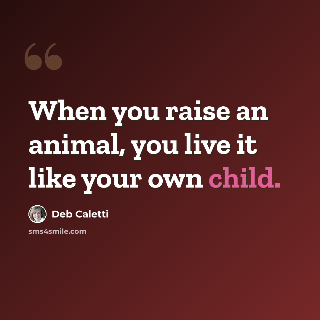 “When you raise an animal, you live it like your own child.” quote by Deb Caletti