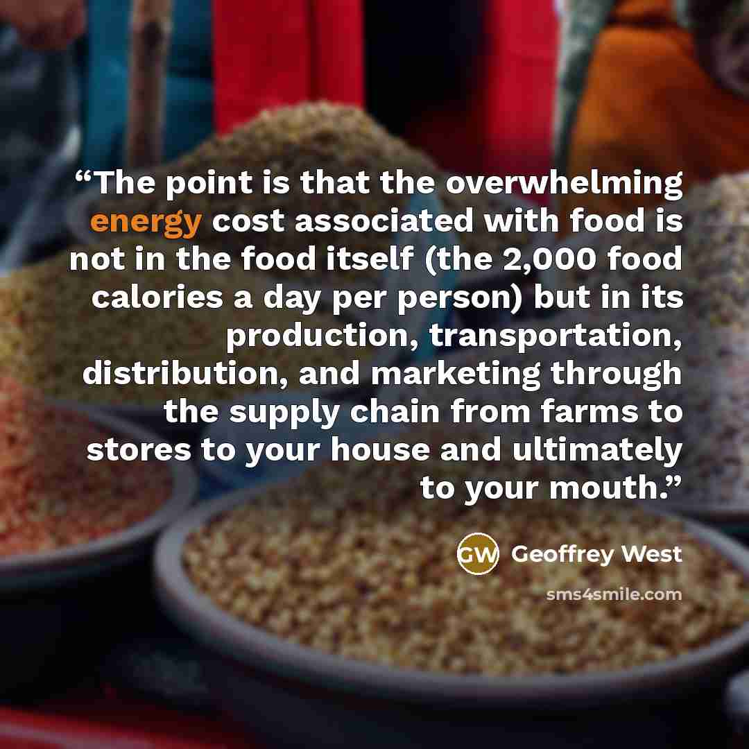 “The point is that the overwhelming energy cost associated with food is not in the food itself (the 2,000 food calories a day per person) but in its production, transportation, distribution, and marketing through the supply chain from farms to stores to your house and ultimately to your mouth.” quote by Geoffrey West