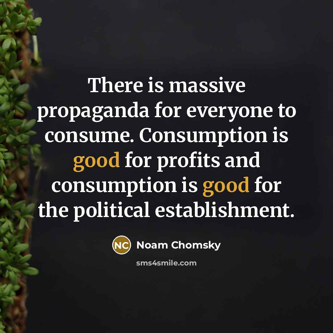 “There is massive propaganda for everyone to consume. Consumption is good for profits and consumption is good for the political establishment.” quote by Noam Chomsky