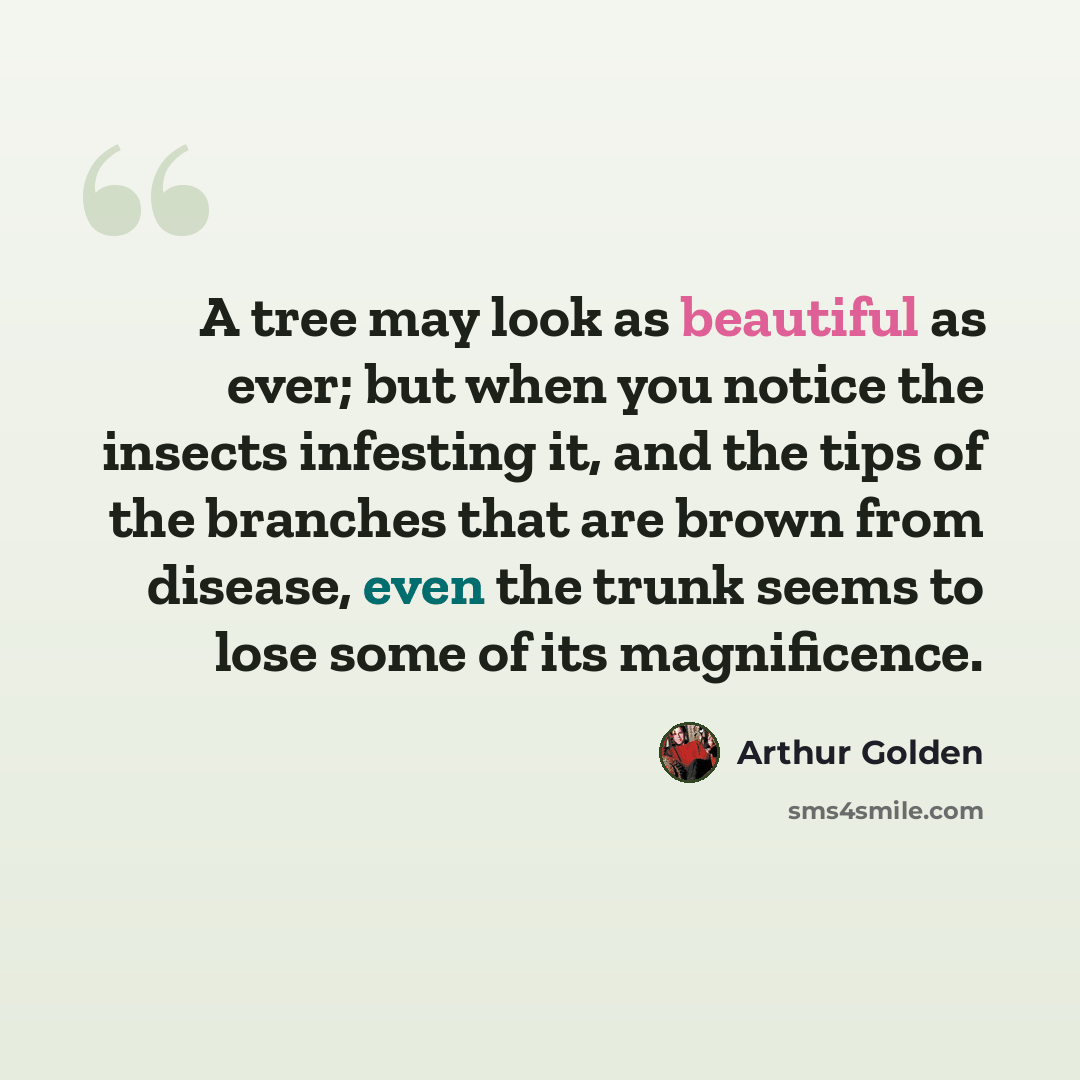 “A tree may look as beautiful as ever; but when you notice the insects infesting it, and the tips of the branches that are brown from disease, even the trunk seems to lose some of its magnificence.” quote by Arthur Golden