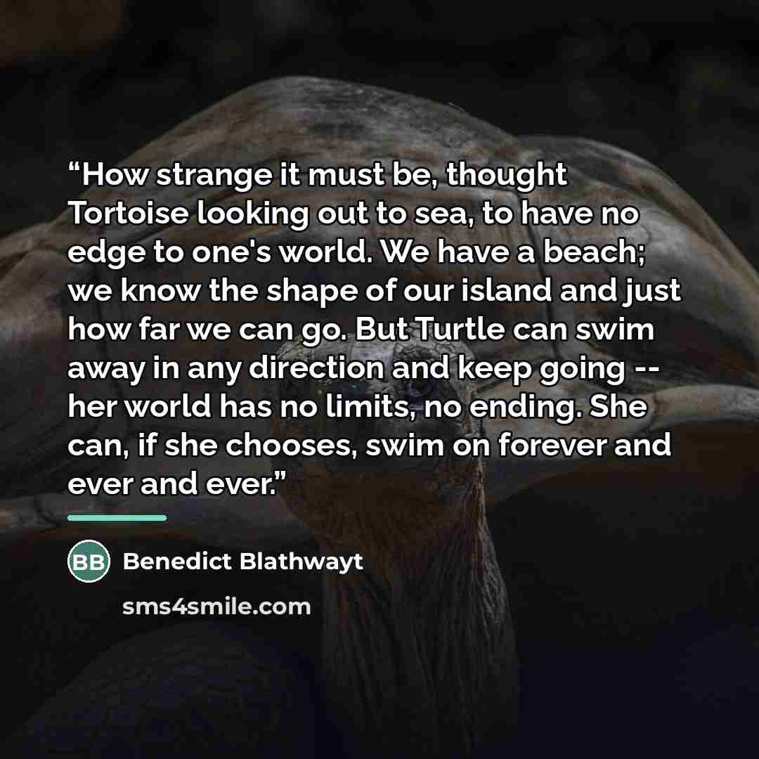 “How strange it must be, thought Tortoise looking out to sea, to have no edge to one's world. We have a beach; we know the shape of our island and just how far we can go. But Turtle can swim away in any direction and keep going -- her world has no limits, no ending. She can, if she chooses, swim on…” quote by Benedict Blathwayt
