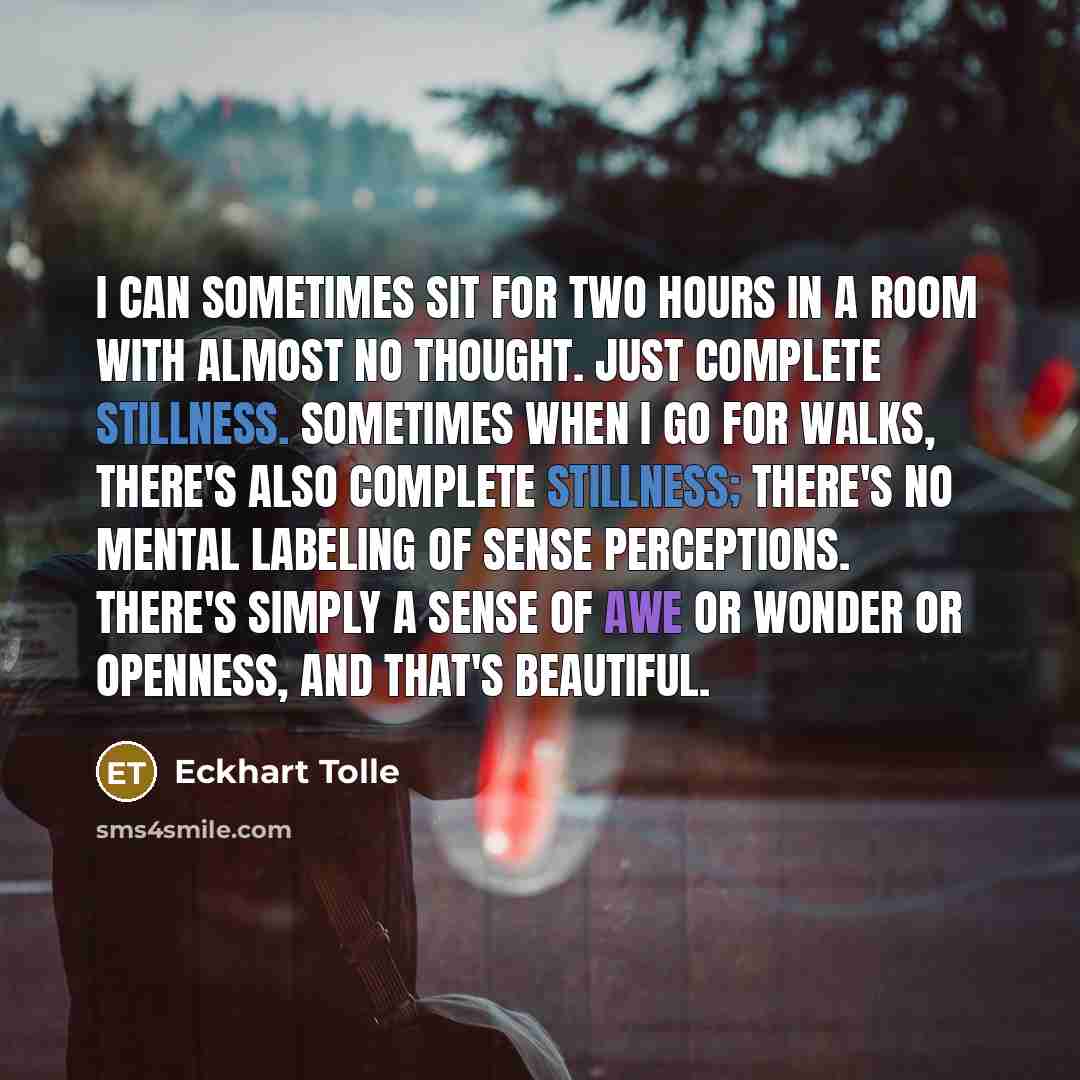 “I can sometimes sit for two hours in a room with almost no thought. Just complete stillness. Sometimes when I go for walks, there's also complete stillness; there's no mental labeling of sense perceptions. There's simply a sense of awe or wonder or openness, and that's beautiful.” quote by Eckhart Tolle
