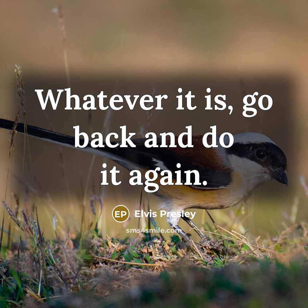 “Whatever it is, go back and do it again.” quote by Elvis Presley