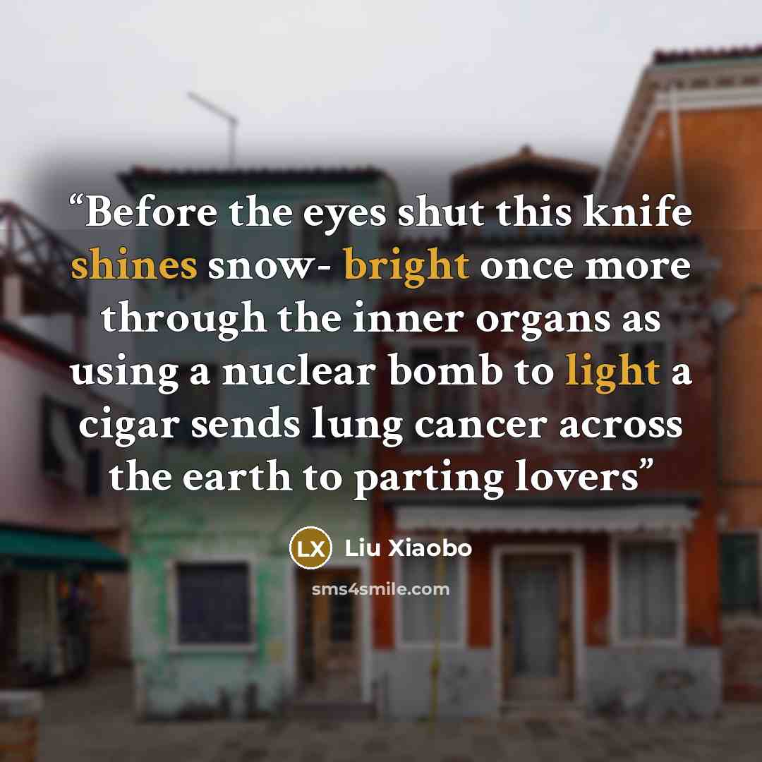 “Before the eyes shut this knife shines snow- bright once more through the inner organs as using a nuclear bomb to light a cigar sends lung cancer across the earth to parting lovers” quote by Liu Xiaobo
