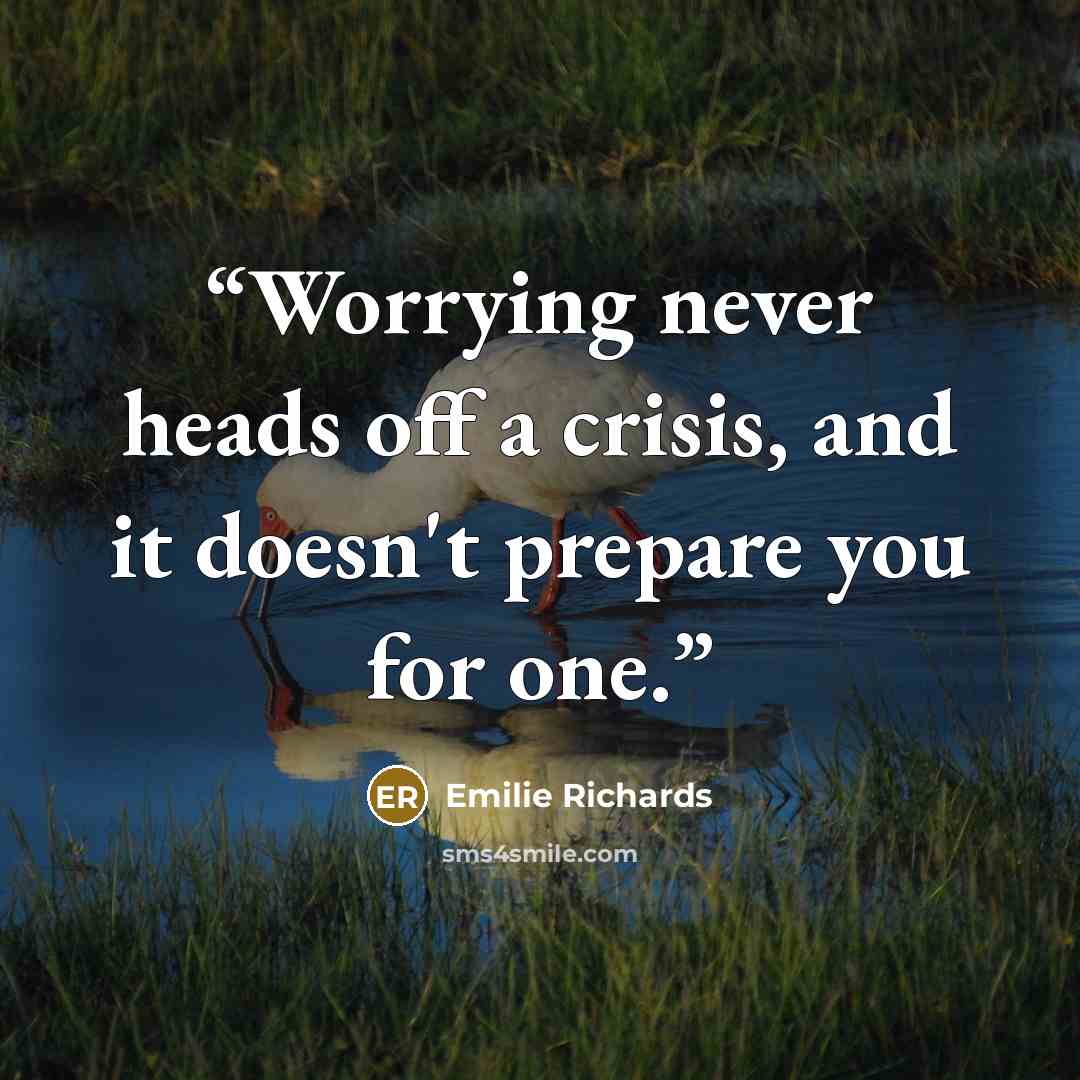 “Worrying never heads off a crisis, and it doesn't prepare you for one.” quote by Emilie Richards