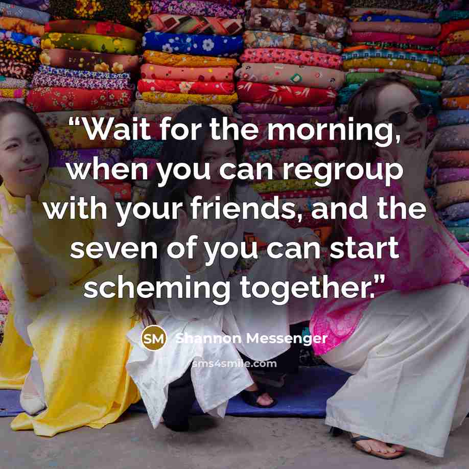 “Wait for the morning, when you can regroup with your friends, and the seven of you can start scheming together.” quote by Shannon Messenger