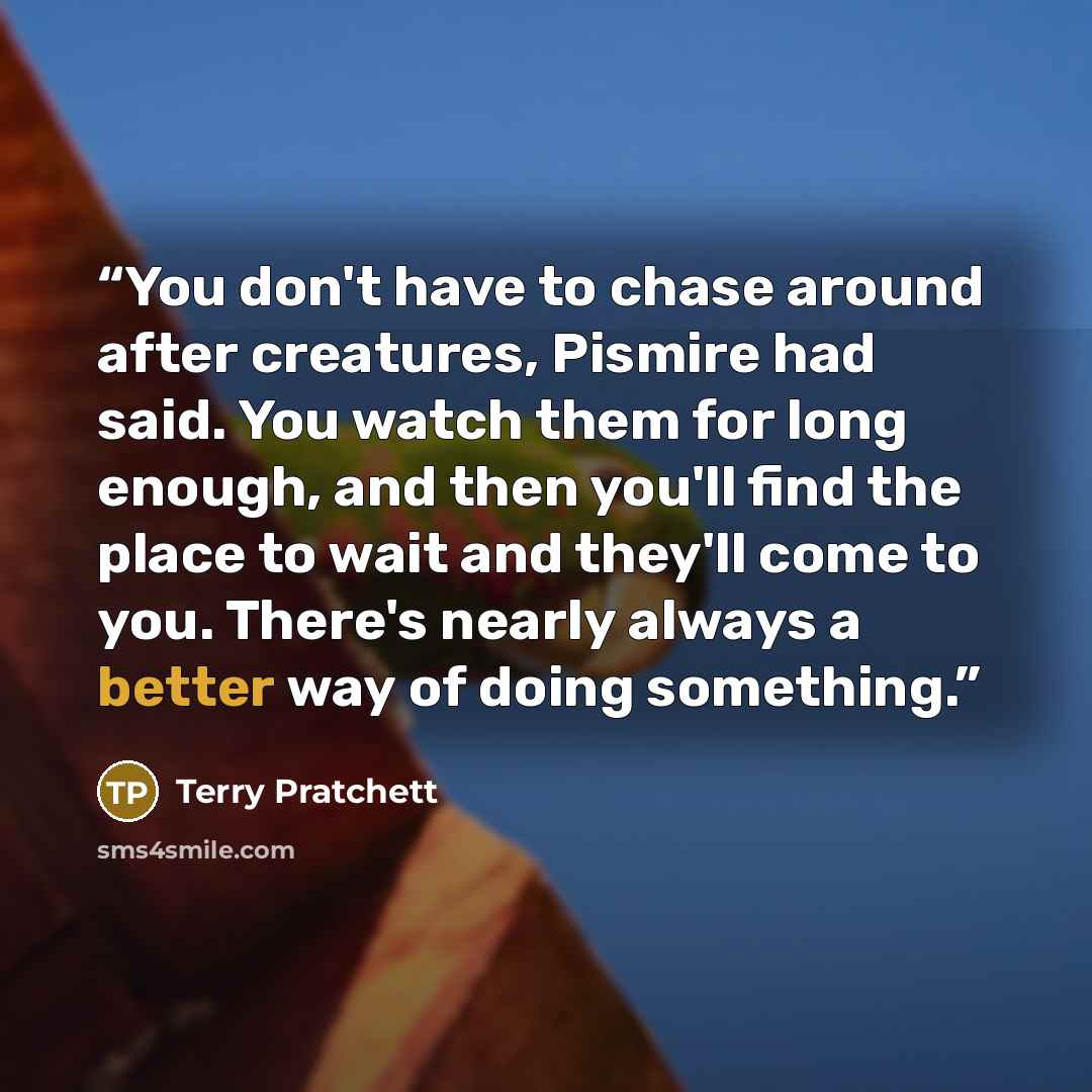 “You don't have to chase around after creatures, Pismire had said. You watch them for long enough, and then you'll find the place to wait and they'll come to you. There's nearly always a better way of doing something.” quote by Terry Pratchett
