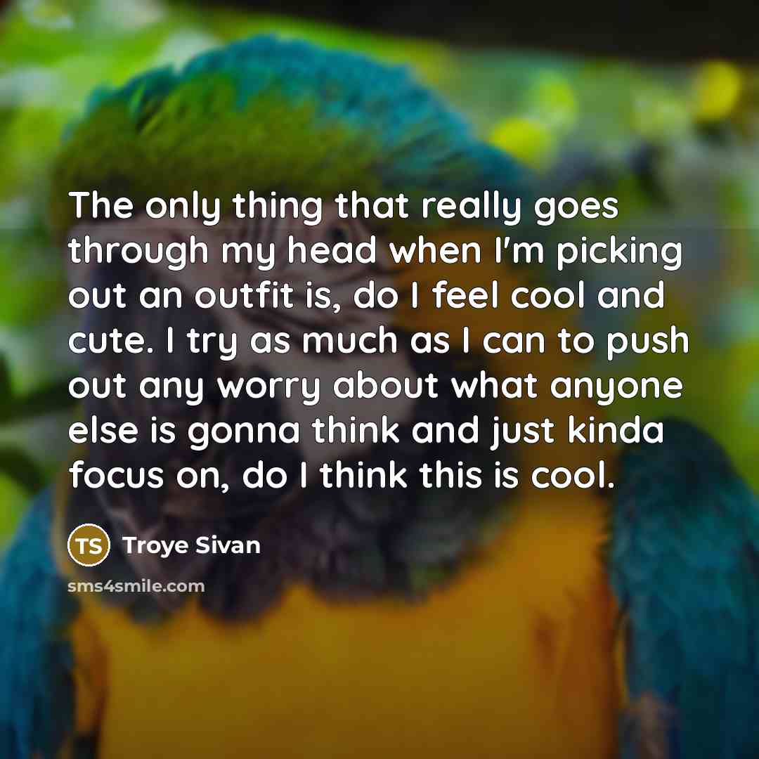 “The only thing that really goes through my head when I'm picking out an outfit is, do I feel cool and cute. I try as much as I can to push out any worry about what anyone else is gonna think and just kinda focus on, do I think this is cool.” quote by Troye Sivan