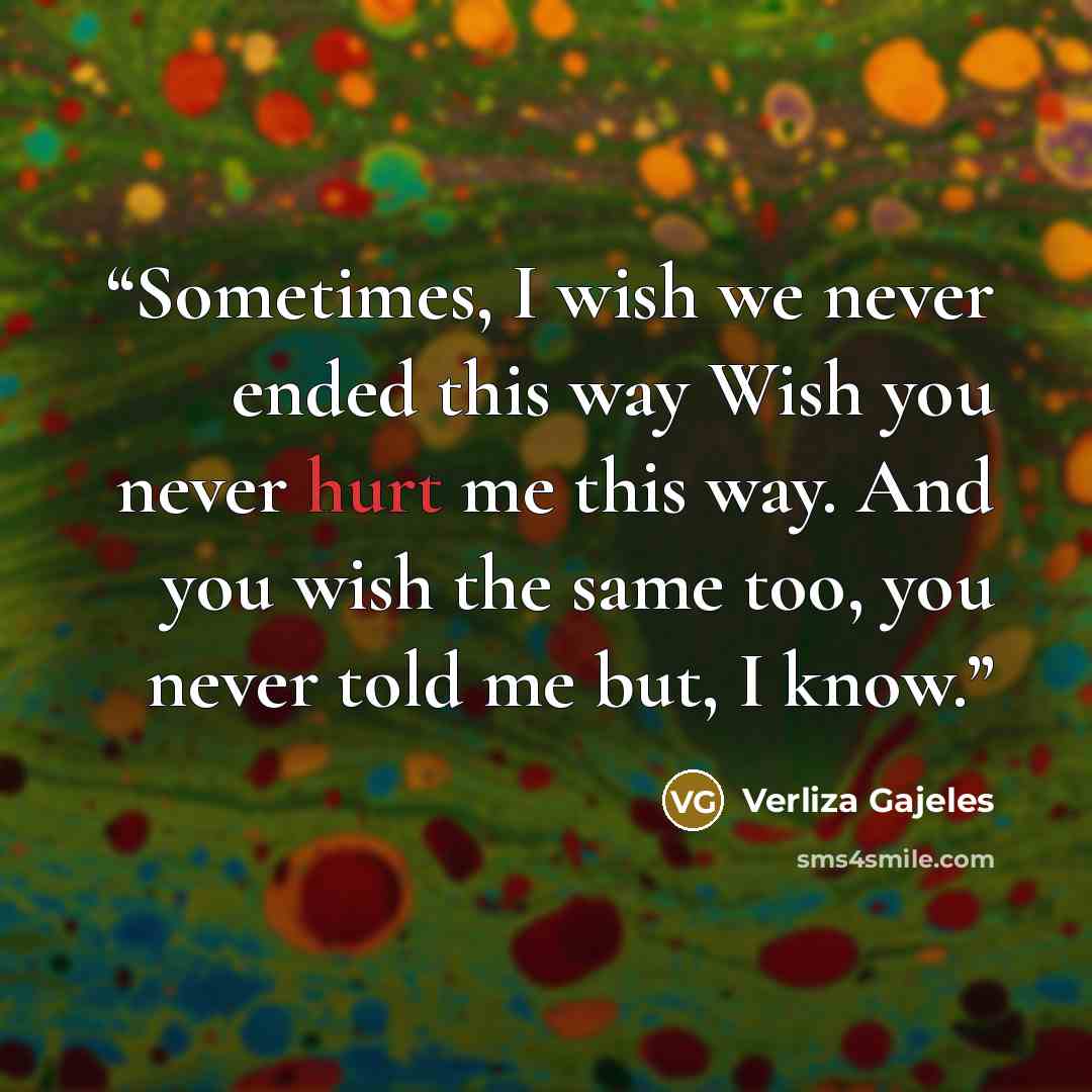 “Sometimes, I wish we never ended this way Wish you never hurt me this way. And you wish the same too, you never told me but, I know.” quote by Verliza Gajeles