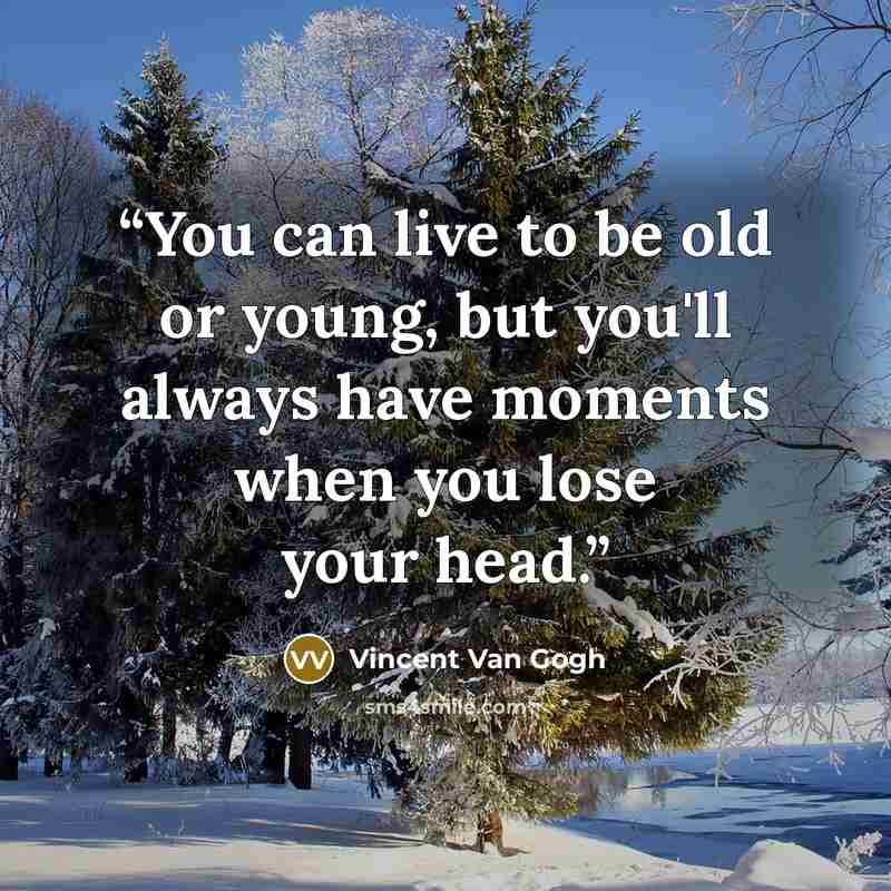 “You can live to be old or young, but you'll always have moments when you lose your head.” quote by Vincent van Gogh