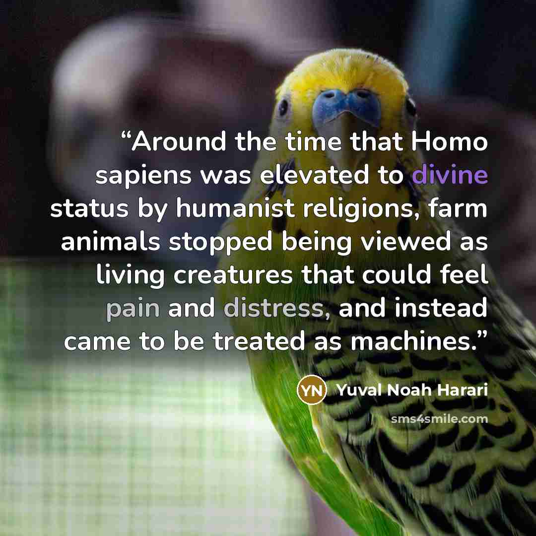 “Around the time that Homo sapiens was elevated to divine status by humanist religions, farm animals stopped being viewed as living creatures that could feel pain and distress, and instead came to be treated as machines.” quote by Yuval Noah Harari
