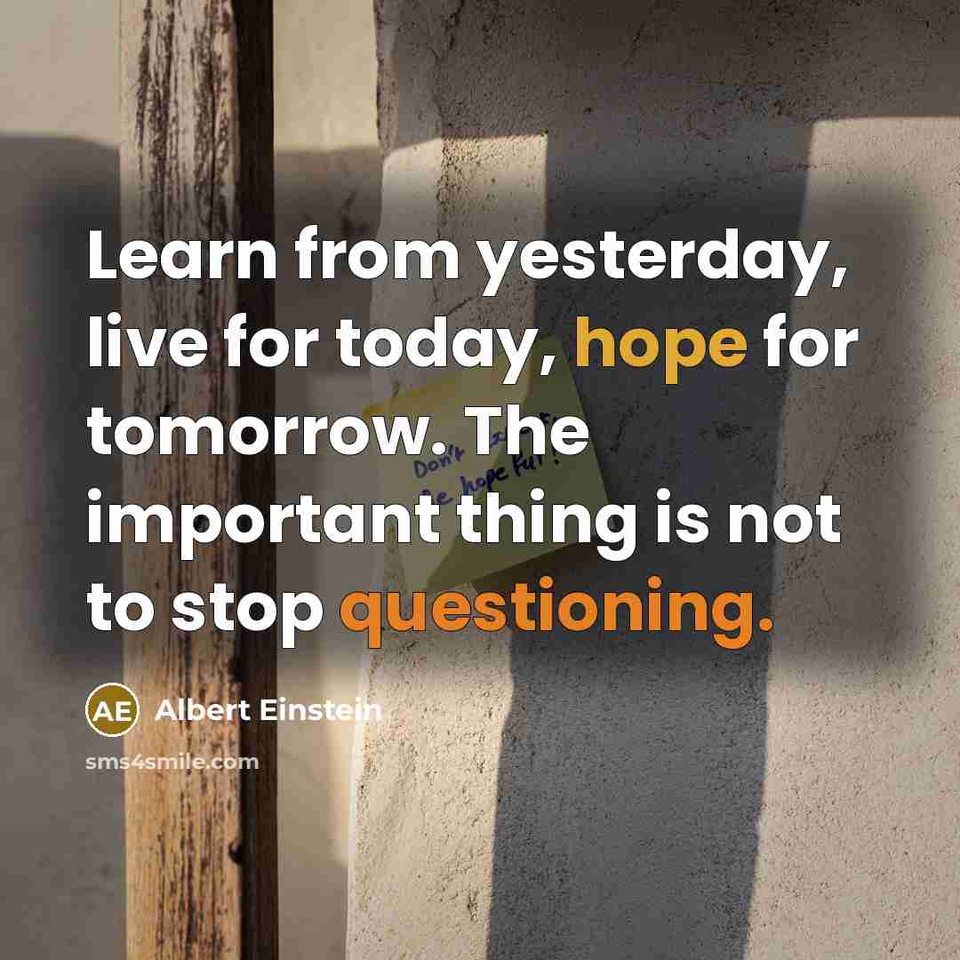 “Learn from yesterday, live for today, hope for tomorrow. The important thing is not to stop questioning.” quote by Albert Einstein