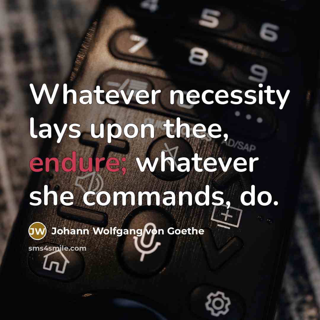 “Whatever necessity lays upon thee, endure; whatever she commands, do.” quote by Johann Wolfgang von Goethe